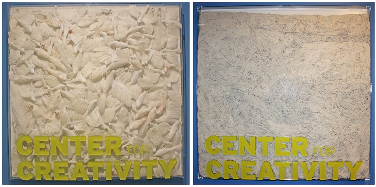The Center for Creativity signs filled with birds and string mops.