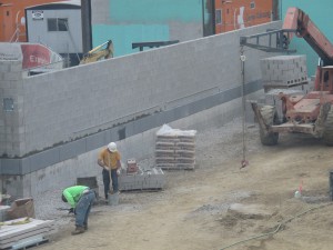 Building the garden wall