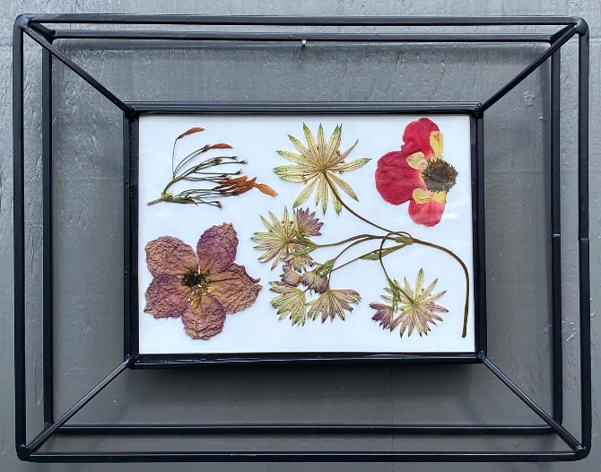 Pressed Flower Art - Asheville Art Museum