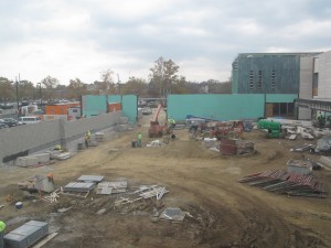 Overlooking the new garden space