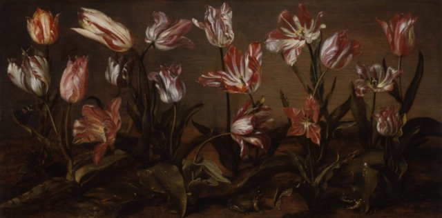 Jacob Gerritsz Cuyp, Bed of Tuilps, 1638, Collection of the Dordrecht Museum