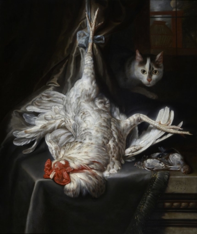 Samuel van Hoogstraten, Bird Still Life with Cat, 1669, Collection of Dordrecht Museum
