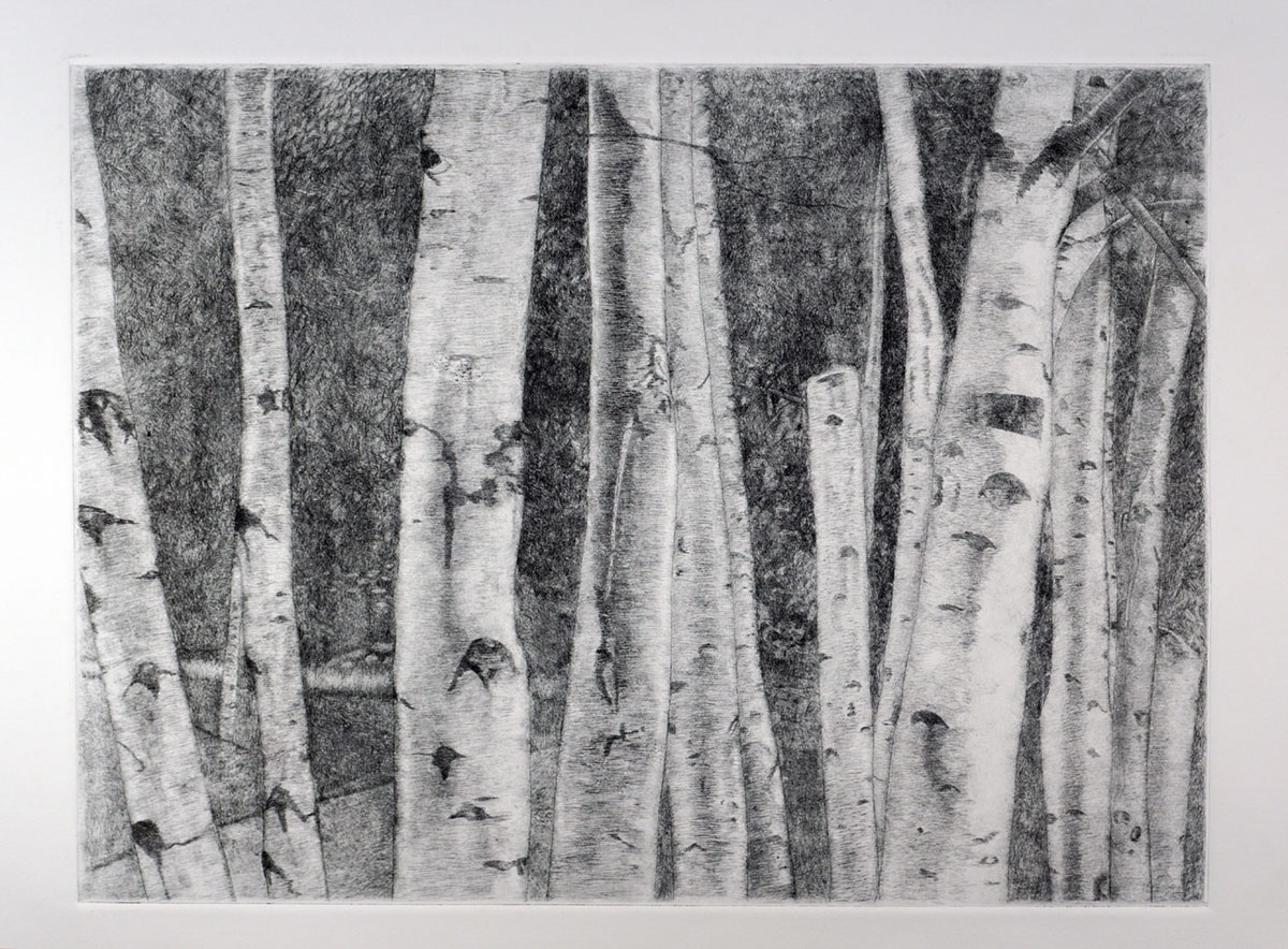 6_Jennifer-Jolley-Brown_Aspens_Intaglio_26_-x-32_