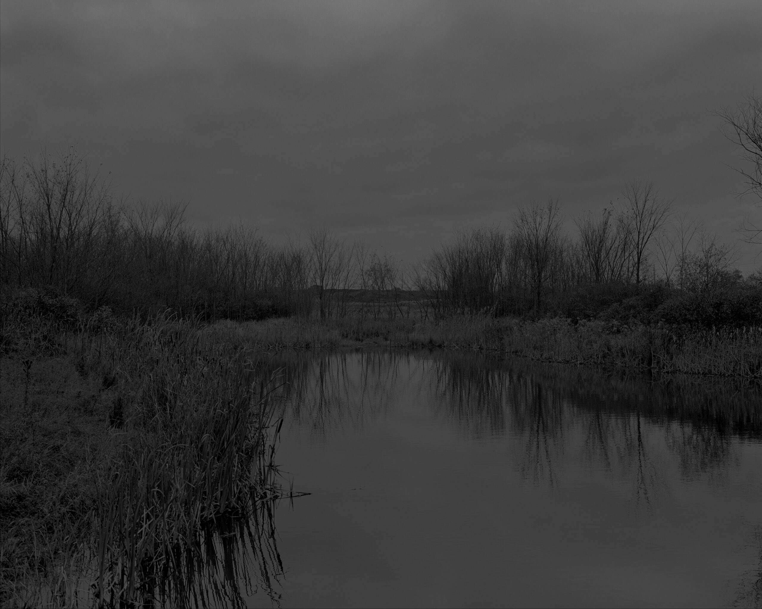 Dawoud Bey  American, born 1953 Untitled #12 (The Marsh) from the series Night Coming Tenderly, Black 2017 Gelatin silver print mounted to museum board and Dibond Museum Purchase with funds provided by The Contemporaries, in memory of Sylvia Goldberg and Donald Dick