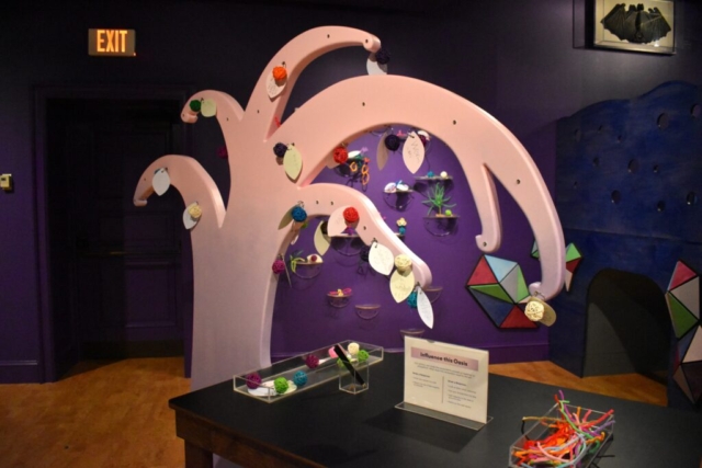 New Wonder Room Installation