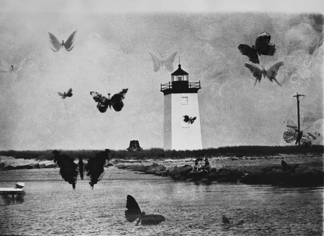 Kali, Maine Lighthouse with Butterflies, 1969. Archival pigment print mounted on dibond. Estate of the Artist.