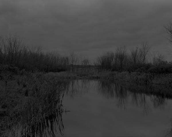 Dawoud Bey, Untitled #12 (The Marsh) from the series Night Coming Tenderly, Black, 2017. Gelatin silver print mounted to museum board and Dibond. Museum Purchase with funds provided by The Contemporaries, in memory of Sylvia Goldberg and Donald Dick