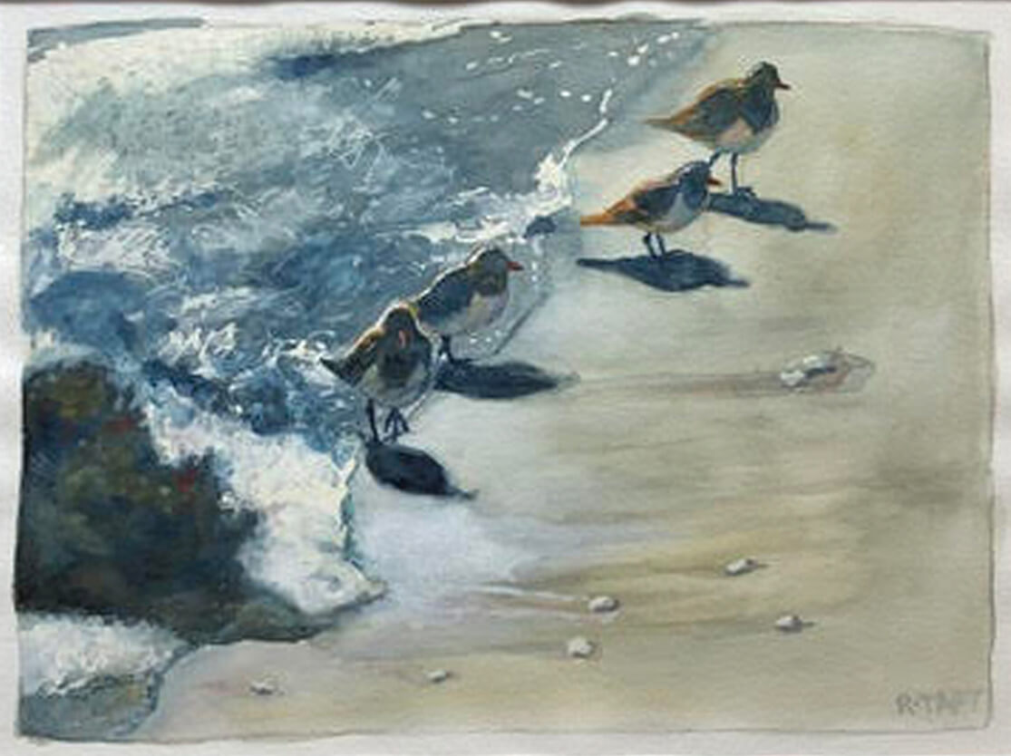 Rebecca Taft - Shore Birds