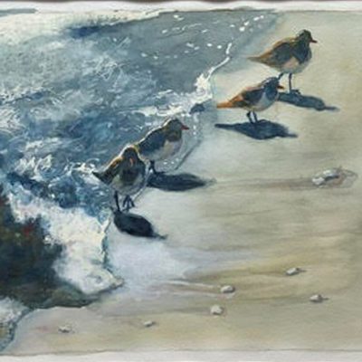 Rebecca Taft - Shore Birds