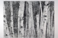 Jennifer Jolley Brown -  Aspens